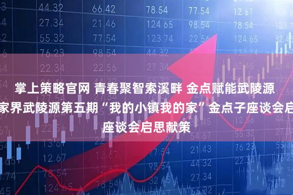 掌上策略官网 青春聚智索溪畔 金点赋能武陵源 一一张家界武陵源第五期“我的小镇我的家”金点子座谈会启思献策