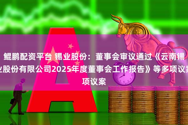 鲲鹏配资平台 锡业股份：董事会审议通过《云南锡业股份有限公司2025年度董事会工作报告》等多项议案