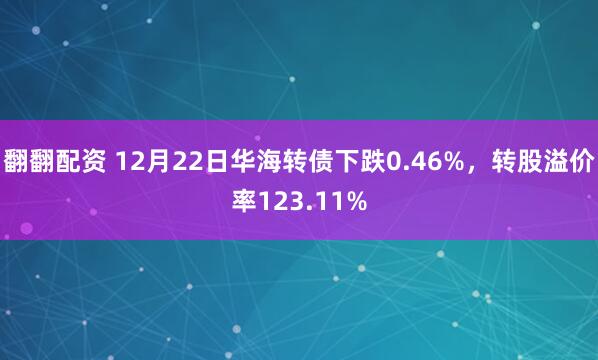 翻翻配资 12月22日华海转债下跌0.46%,转股溢价率123.11%